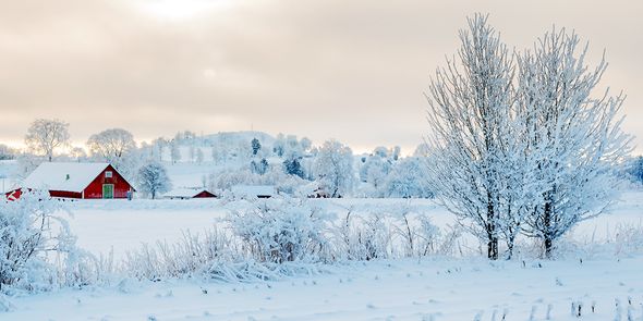 Tips voor winterfotografie