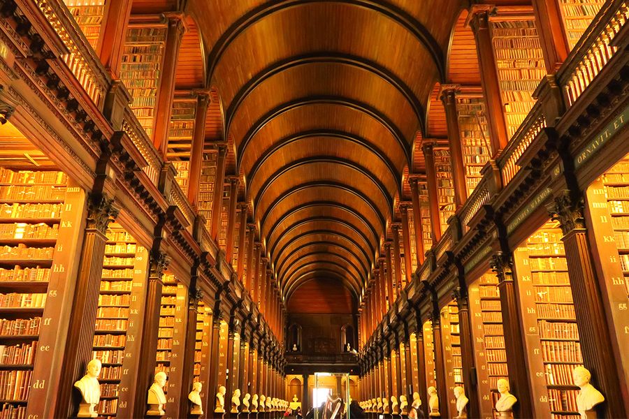 De Long Room in Trinity College Dublin, een indrukwekkende kamer vol oude boeken en een gewelfd plafond, een topbestemming voor literaire reizen met albelli.
