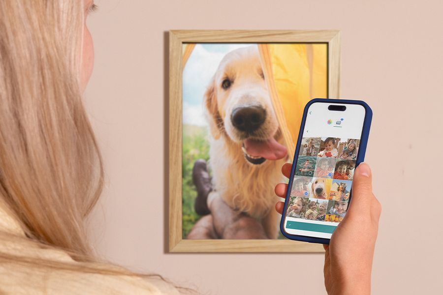 Een vrouw bekijkt haar camerarol op haar telefoon, met achter haar een ingelijste foto van een labrador aan de muur, als inspiratie om digitale foto’s te organiseren en de mooiste momenten af te drukken.