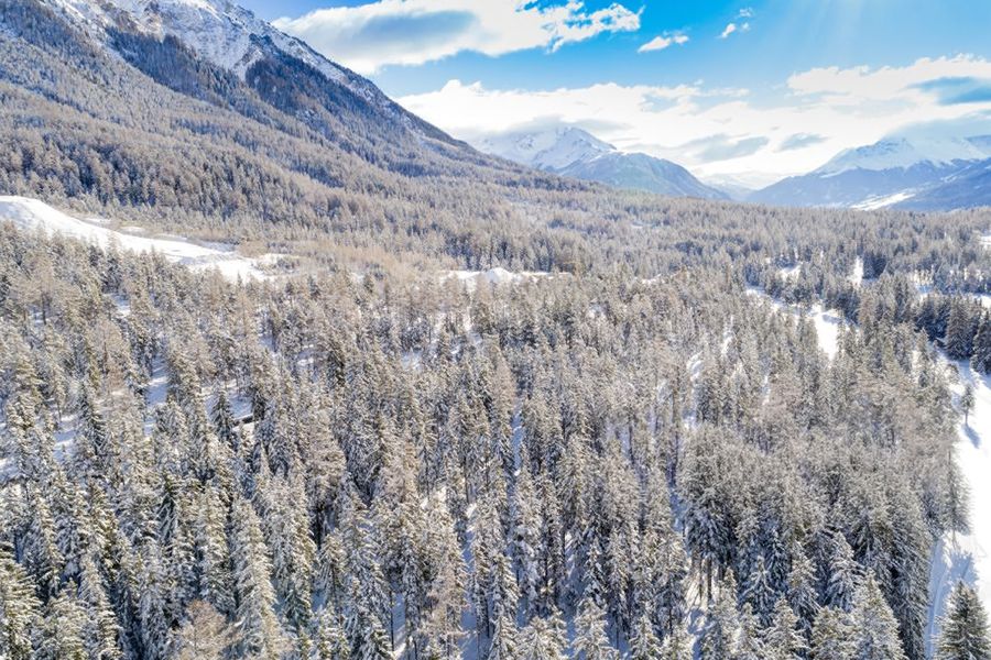 Bloemrijke alpenweiden en bergmeren bij Parc Ela in Zwitserland, het grootste natuurpark van Zwitserland en een van de beste natuurparken van Zwitserland uit albelli's gids.