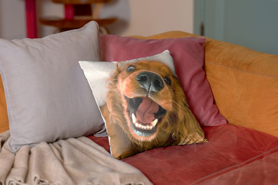 Een gepersonaliseerd kussen met een foto van een hond ligt op een rode fluwelen bank, ter illustratie van hoe een albelli kussen zachte textuur toevoegt aan een hygge-huis.