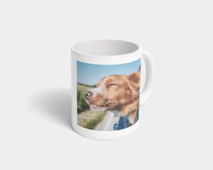Een fotomok met een foto van een hond