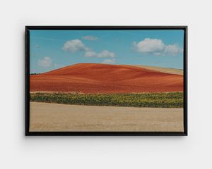 Een ingelijste foto op canvas van een zomers landschap