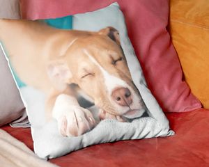 Een gepersonaliseerd albelli hondenkussen, als inspiratie voor een snel gepersonaliseerd cadeau in 15 minuten en een eenvoudig fotocadeau.