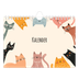 Fotokalender A5 — Kattenpoten en krabbels [omslag]