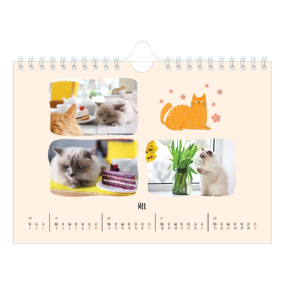 Fotokalender A5 — Kattenpoten en krabbels [omslag]