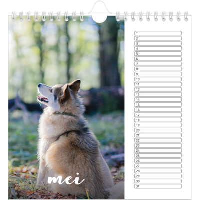 __breadcrumb.calendar_birthday_square.name — Schuingedrukte letters [Mei]