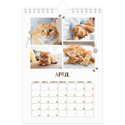 Fotokalender A5 — Speelse kitten [April]