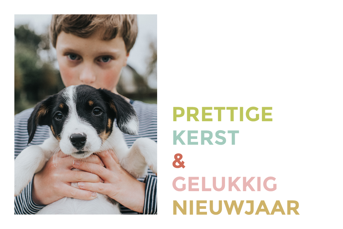 Fotokaarten — Bont gekleurd