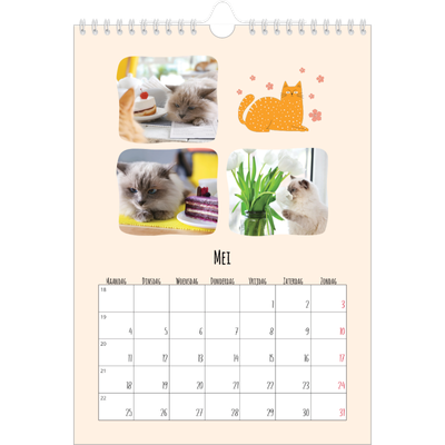 Fotokalender A4 (20 x 30 cm) — Kattenpoten en krabbels [omslag]