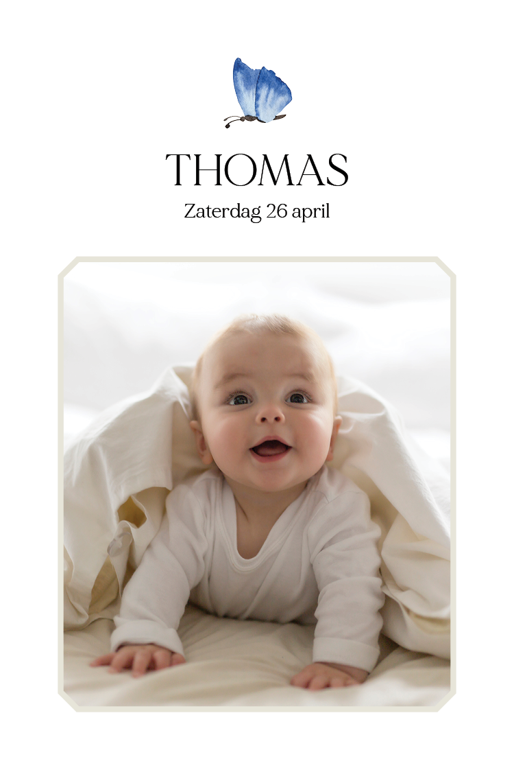 Uitnodigingen — Kleine vlindertjes