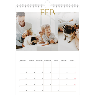 Fotokalender A4 (20 x 30 cm) — Gouden tekst groot [Februari]