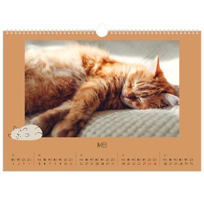 Fotokalender A3 — Speelse kitten [omslag]