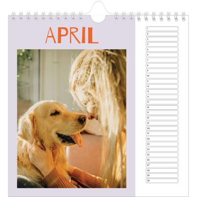 __breadcrumb.calendar_birthday_square.name — Vrolijk & Kleurrijk [April]