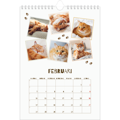 Fotokalender A4 (20 x 30 cm) — Speelse kitten [Februari]