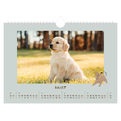 Fotokalender A4 — Speelse puppy [Maart]