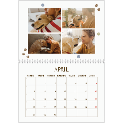 Fotokalender A4 Dubbel (30 x 40 cm) — Speelse puppy [April]