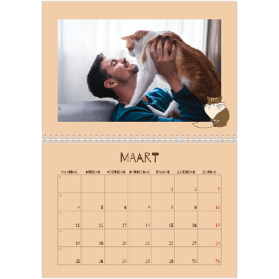 Fotokalender A4 Dubbel (30 x 40 cm) — Speelse kitten [Maart]