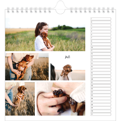 __breadcrumb.calendar_birthday_square.name — Foto arrangement [Mei]