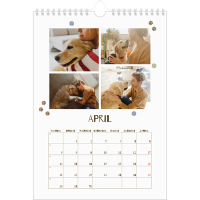 Fotokalender A4 (20 x 30 cm) — Speelse puppy [April]