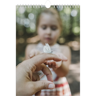 Verjaardagskalenders A4 — Twaalf grote maanden [omslag]