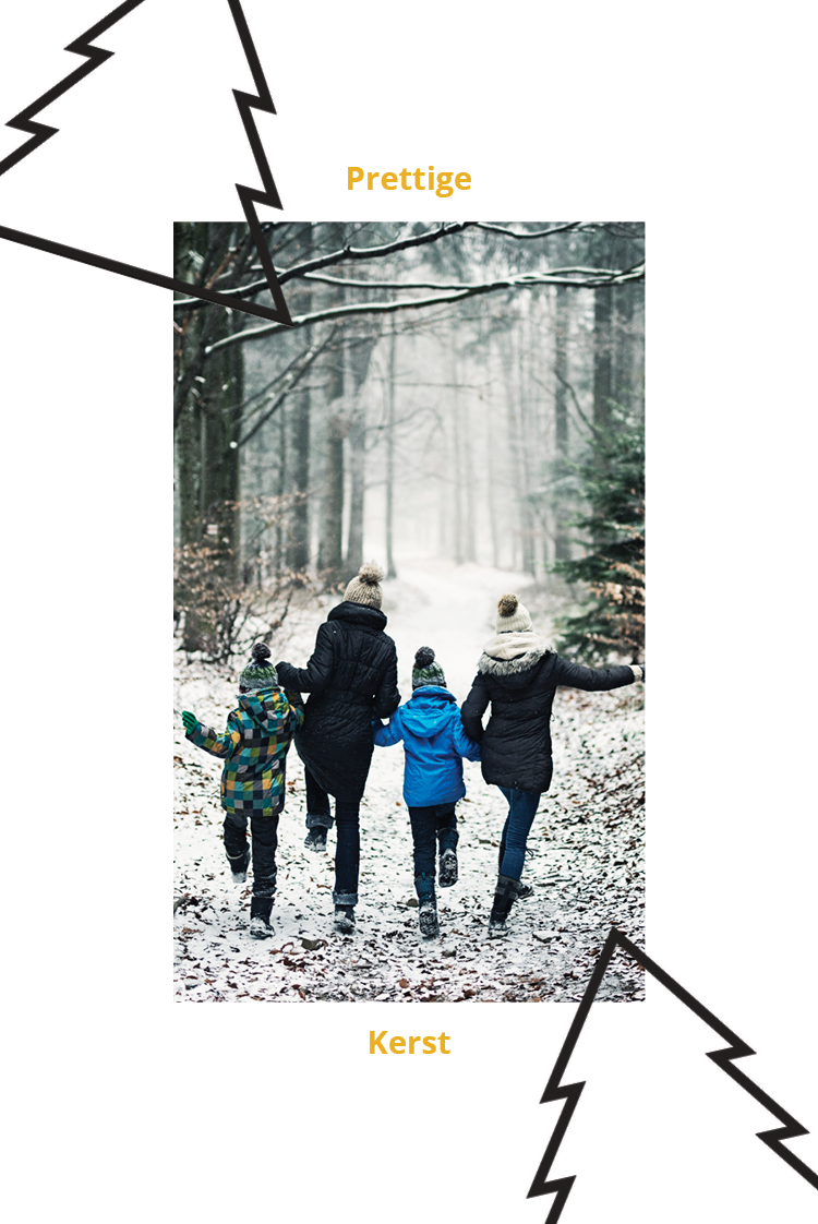 Fotokaarten — Twee bomen