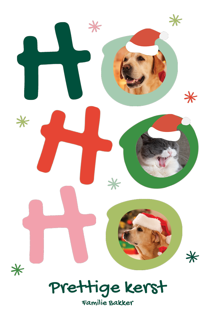 Fotokaarten — Kerstman hond & kat