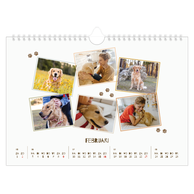 Fotokalender A4 — Speelse puppy [Februari]