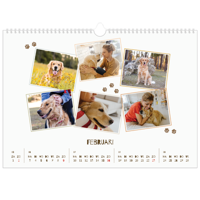 Fotokalender A3 — Speelse puppy [Februari]