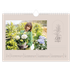 Fotokalender A4 — Simpel botanisch [Maart]
