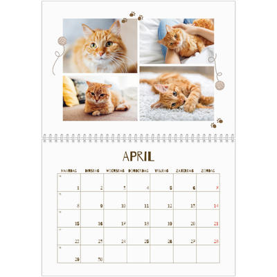 Fotokalender A4 Dubbel (30 x 40 cm) — Speelse kitten [April]