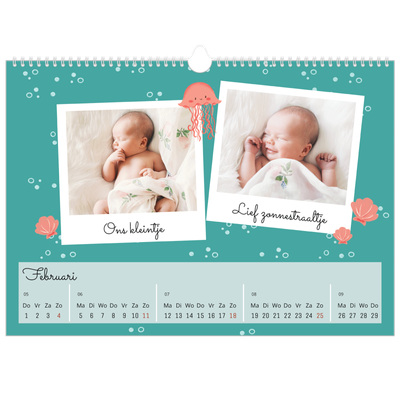 Fotokalender A3 — Schattige dieren [Februari]