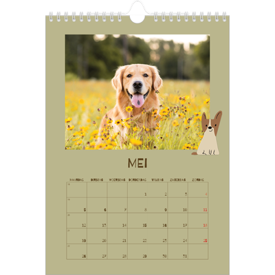 Fotokalender A4 (20 x 30 cm) — Speelse puppy [omslag]