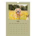 Fotokalender A4 (20 x 30 cm) — Speelse puppy [omslag]