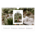 Fotokalender A5 — De open boog [Februari]