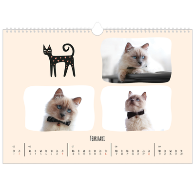 Fotokalender A3 — Kattenpoten en krabbels [Februari]