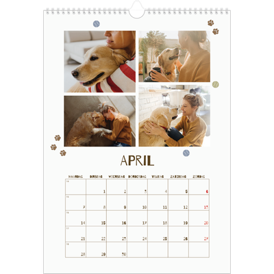 A3 Jaarkalenders — Speelse puppy [April]