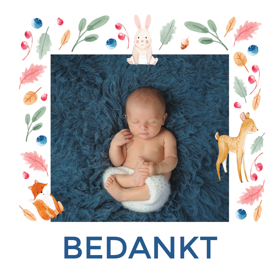 Bedankkaarten — Bosdierbehang