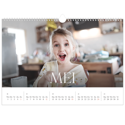 Fotokalender A3 — Twaalf grote maanden [omslag]