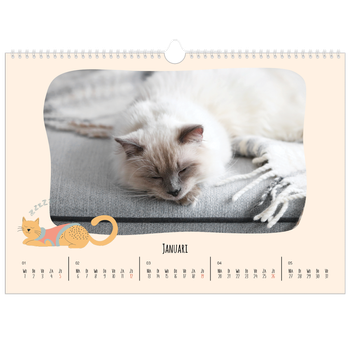 Fotokalender A3 — Kattenpoten en krabbels