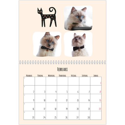 Fotokalender A4 Dubbel (30 x 40 cm) — Kattenpoten en krabbels [Februari]