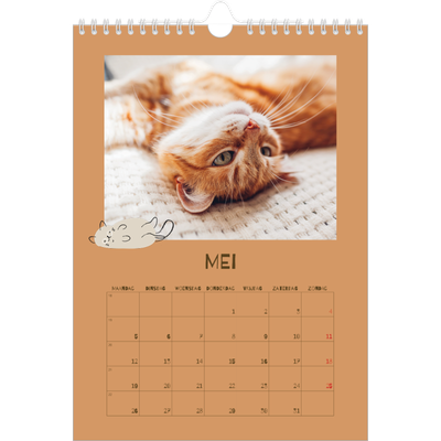 Fotokalender A4 (20 x 30 cm) — Speelse kitten [omslag]