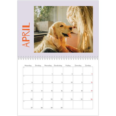 Fotokalender A4 Dubbel (30 x 40 cm) — Vrolijk & Kleurrijk [April]