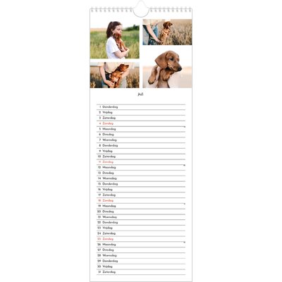 Smalle kalender  — Foto arrangement [omslag]
