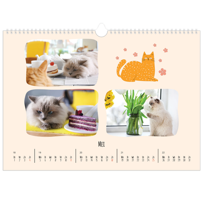 Fotokalender A3 — Kattenpoten en krabbels [omslag]