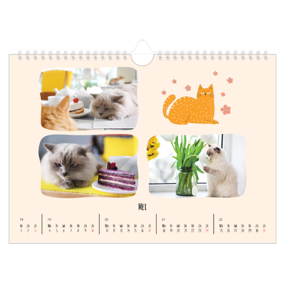 Fotokalender A4 — Kattenpoten en krabbels [omslag]