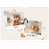 Fotokalender A3 — Speelse kitten [omslag]