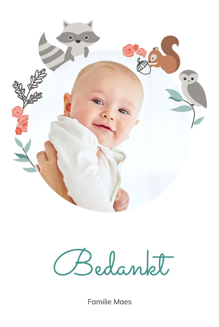 Bedankkaarten — Bosdierenomlijsting