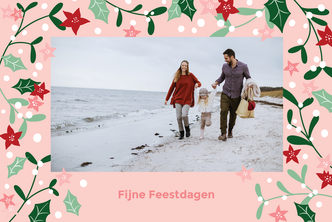 Fotokaarten — Hulststruik - roos