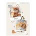 Fotokalender A5 — Speelse kitten [omslag]